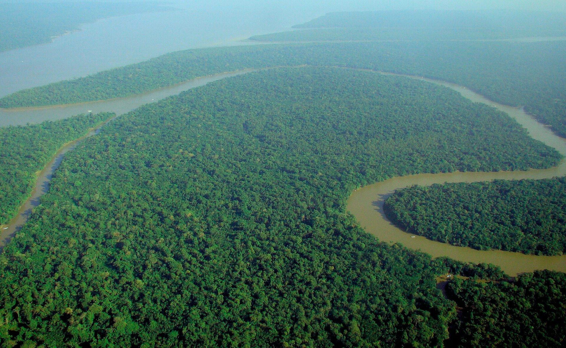 Aerial view of the Amazon Rainforest, foto: lubasi / Wikimedia Commons (CC BY-SA 2.0)